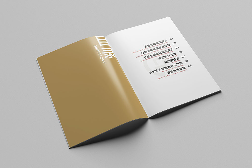 金融企业画册设计-简约大气金融画册设计