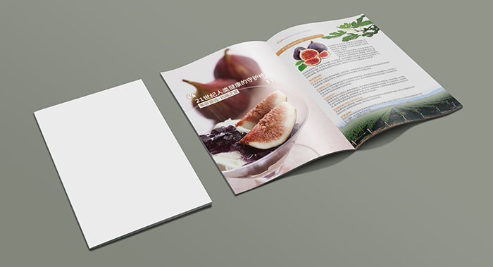 广州沃园农牧科技画册设计-农产品画册设计-农副产品画册设计公司